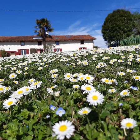 Bnb Ferme Beauregard Les Pyrenees Artigat Exterior foto