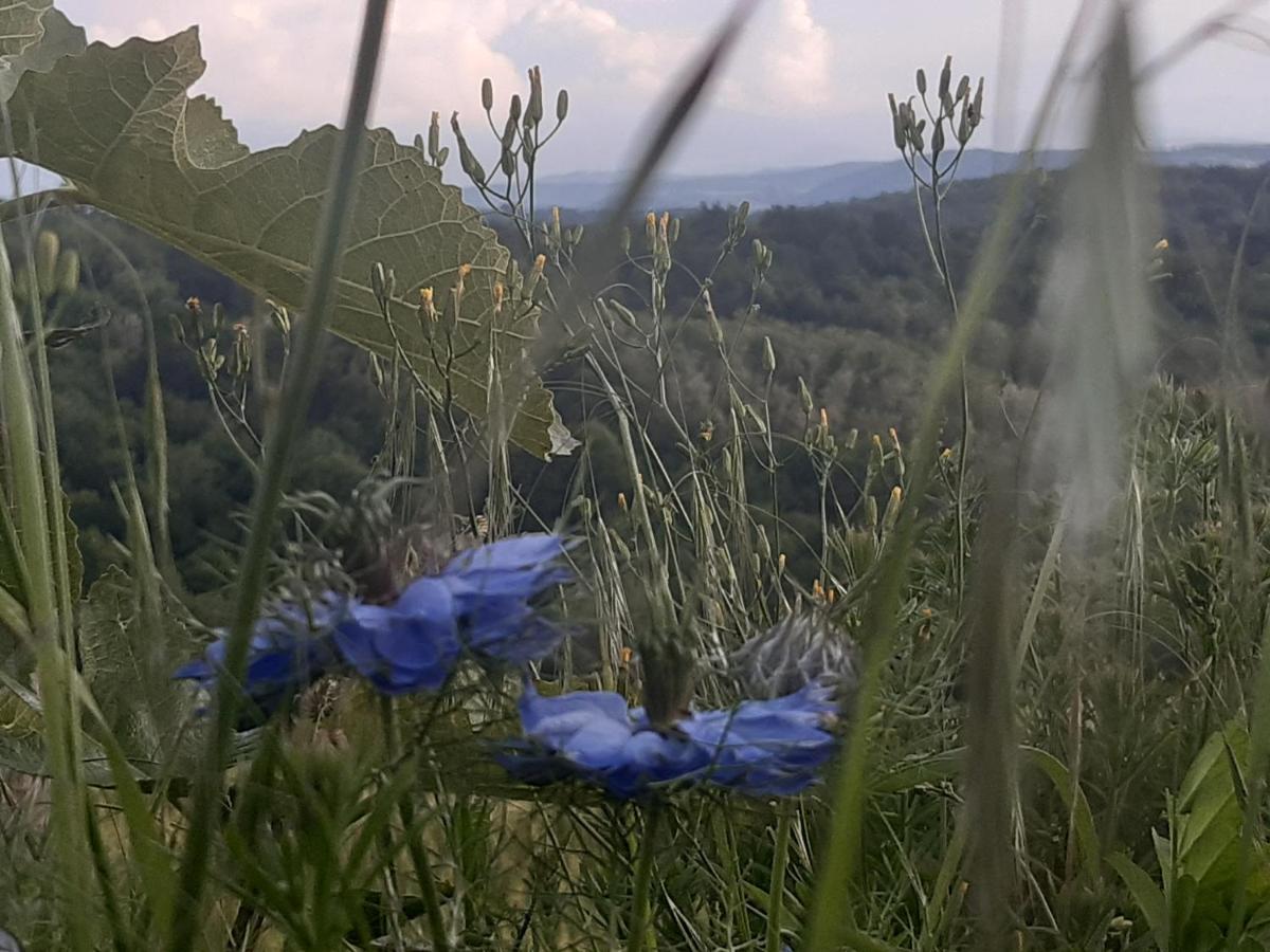 Bnb Ferme Beauregard Les Pyrenees Artigat Exterior foto