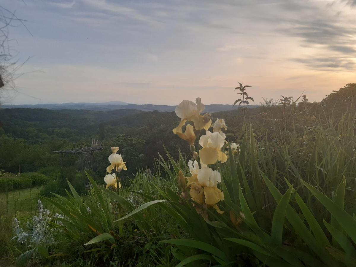 Bnb Ferme Beauregard Les Pyrenees Artigat Exterior foto