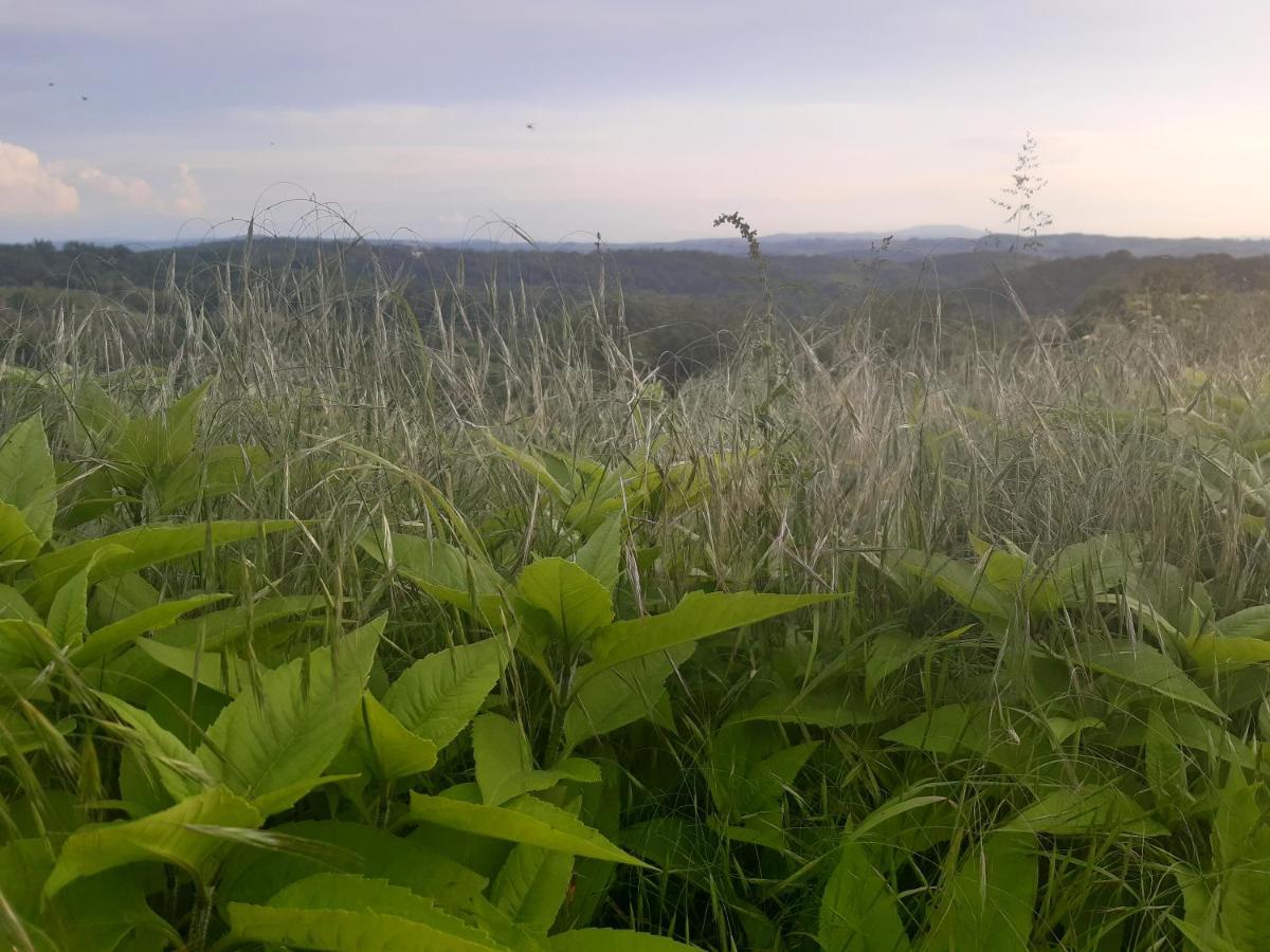 Bnb Ferme Beauregard Les Pyrenees Artigat Exterior foto