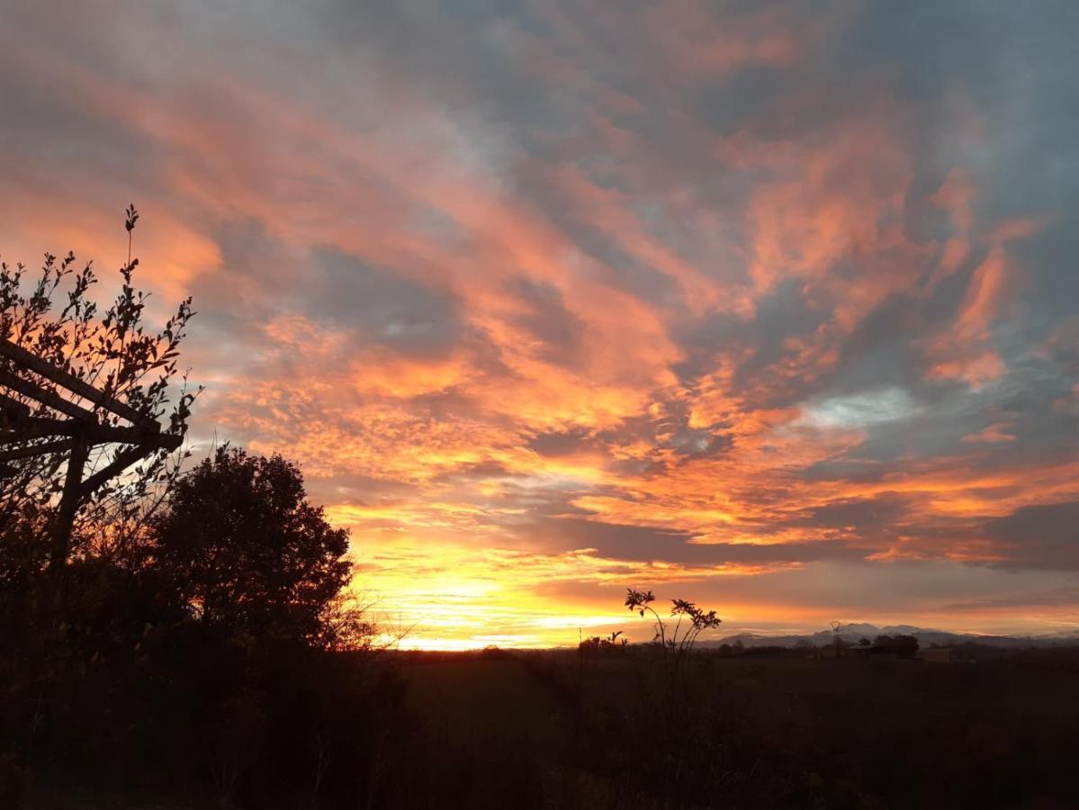 Bnb Ferme Beauregard Les Pyrenees Artigat Exterior foto